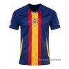 Camiseta Pre Partido del Espana 2024 Azul