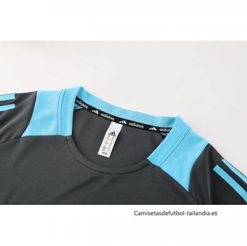 Camiseta de Entrenamiento Argentina 2024-2025 Gris