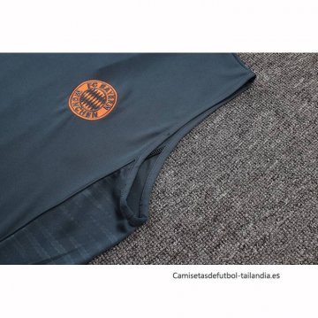Camiseta de Entrenamiento Bayern Munich Sin Mangas 2025-2026 Gris Oscuro
