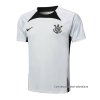 Camiseta de Entrenamiento Corinthians 2024-2025 Gris Camiseta de Entrenamiento Corinthians 2024-2025 Gris