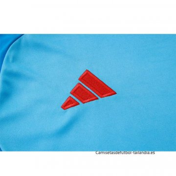 Camiseta de Entrenamiento Flamengo 2024-2025 Azul