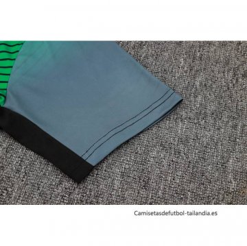 Camiseta de Entrenamiento Nigeria 2024-2025 Gris Verde