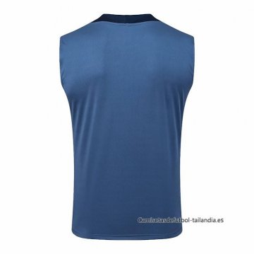 Camiseta de Entrenamiento Paris Saint-Germain Sin Mangas 2025-2026 Gris
