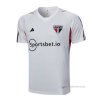 Camiseta de Entrenamiento Sao Paulo 2023-2024 Gris