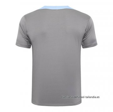 Camiseta de Entrenamiento Tottenham Hotspur 2024-2025 Gris