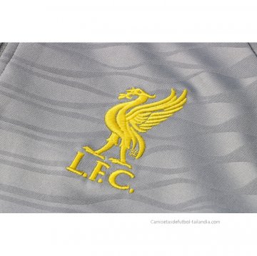 Chandal de Sudadera del Liverpool 2021-2022 Gris