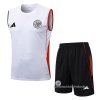 Chandal del Ajax Sin Mangas 2025-2026 Blanco