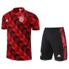 Chandal del Bayern Munich Manga Corta 2022-2023 Rojo - Pantalon Corto Chandal del Bayern Munich Manga Corta 2022-2023 Rojo - Pantalon Corto