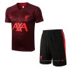 Chandal del Liverpool Manga Corta 2022-2023 Rojo - Pantalon Corto Chandal del Liverpool Manga Corta 2022-2023 Rojo - Pantalon Corto