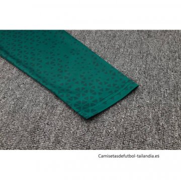 Chaqueta del Palmeiras 2024-2025 Verde