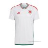 2ª Camiseta Gales 2022
