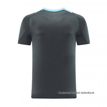 Camiseta de Entrenamiento Argentina 2024-2025 Gris