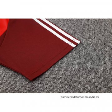 Camiseta de Entrenamiento Flamengo 2024-2025 Rojo