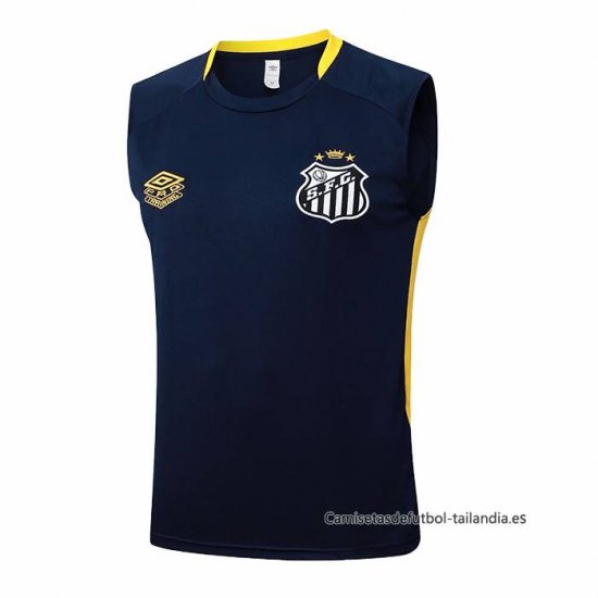 Camiseta de Entrenamiento Santos Sin Mangas 2025-2026 Azul - Haga un click en la imagen para cerrar