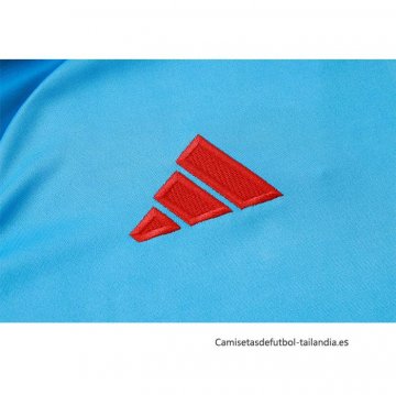 Chandal de Sudadera del Flamengo 2024-2025 Azul