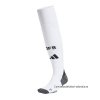 1ª Calcetines Alemania 2024