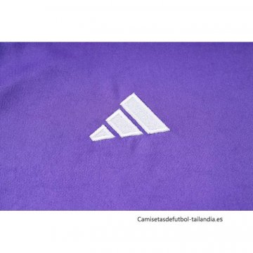 Camiseta de Entrenamiento Alemania 2024-2025 Purpura