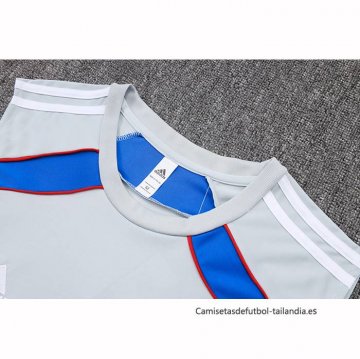 Camiseta de Entrenamiento Bayern Munich Sin Mangas 2025-2026 Gris