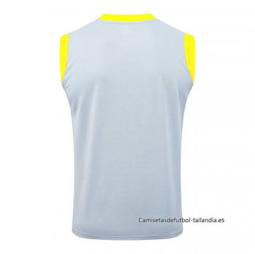Camiseta de Entrenamiento Borussia Dortmund Sin Mangas 2025-2026 Gris