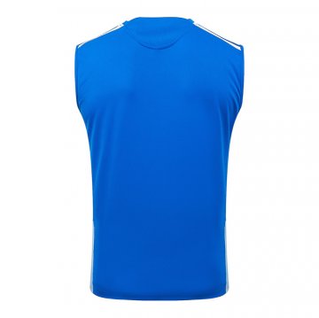 Camiseta de Entrenamiento Cruzeiro Sin Mangas 2025-2026 Azul