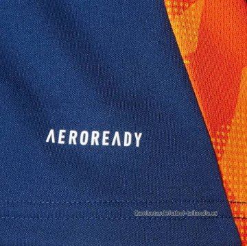 Camiseta de Entrenamiento Juventus 2024-2025 Azul