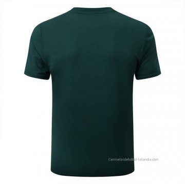 Camiseta de Entrenamiento Palmeiras 2022-2023 Verde