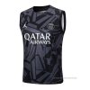 Camiseta de Entrenamiento Paris Saint-Germain Jordan Sin Mangas 2023-2024 Negro y Gris