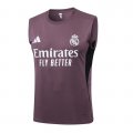 Camiseta de Entrenamiento Real Madrid Sin Mangas 2025-2026 Gris Purpura