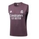 Camiseta de Entrenamiento Real Madrid Sin Mangas 2025-2026 Gris Purpura