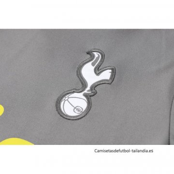 Camiseta de Entrenamiento Tottenham Hotspur 2024-2025 Gris