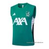 Camiseta de Entrenamiento Tottenham Hotspur Sin Mangas 2025-2026 Verde