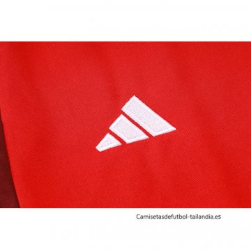 Chandal de Chaqueta del SC Internacional 2024-2025 Rojo