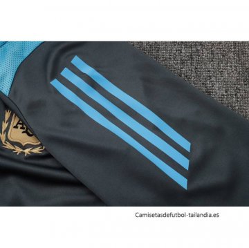 Chandal de Sudadera del Argentina 2024-2025 Gris