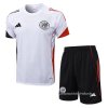 Chandal del Ajax Manga Corta 2025-2026 Blanco - Pantalon Corto Chandal del Ajax Manga Corta 2025-2026 Blanco - Pantalon Corto