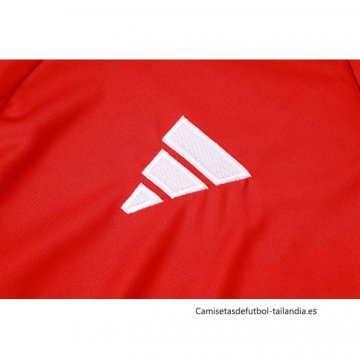 Conjunto Polo del Bayern Munich 2024-2025 Rojo