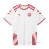 Camiseta Dinamarca Special 2022 Camiseta Dinamarca Special 2022