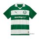 Tailandia Camiseta Palmeiras Special 2025 Verde