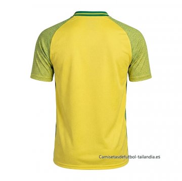 Camiseta Botafogo Special 2026 Amarillo