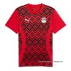 Camiseta Pre Partido del Egipto 2024 Rojo Camiseta Pre Partido del Egipto 2024 Rojo