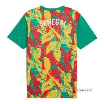 Camiseta Pre Partido del Senegal 2024 Verde