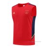 Camiseta de Entrenamiento Ajax Sin Mangas 2022-2023 Rojo Camiseta de Entrenamiento Ajax Sin Mangas 2022-2023 Rojo