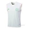 Camiseta de Entrenamiento Ajax Sin Mangas 2023-2024 Verde