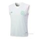 Camiseta de Entrenamiento Ajax Sin Mangas 2023-2024 Verde
