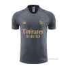 Camiseta de Entrenamiento Arsenal 2023-2024 Gris