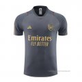 Camiseta de Entrenamiento Arsenal 2023-2024 Gris