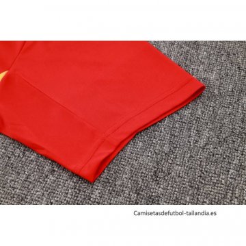 Camiseta de Entrenamiento Bayern Munich 2024-2025 Rojo