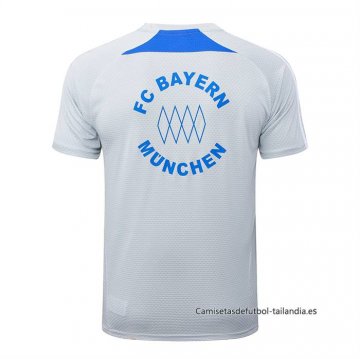 Camiseta de Entrenamiento Bayern Munich 2025-2026 Gris