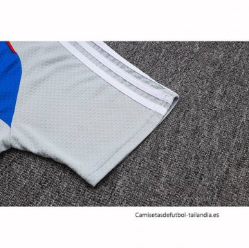 Camiseta de Entrenamiento Bayern Munich 2025-2026 Gris