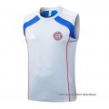 Camiseta de Entrenamiento Bayern Munich Sin Mangas 2025-2026 Gris