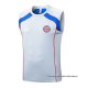 Camiseta de Entrenamiento Bayern Munich Sin Mangas 2025-2026 Gris